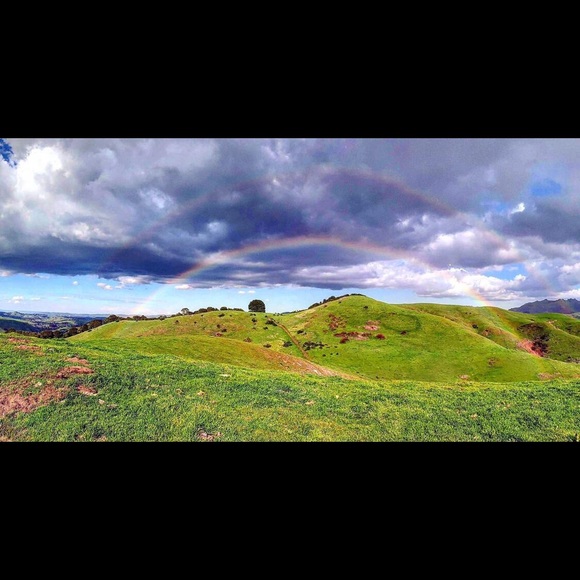 Meet your Posher, Gabrielle - Picture 4 of 5